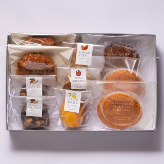 エニーM(202511) (1)